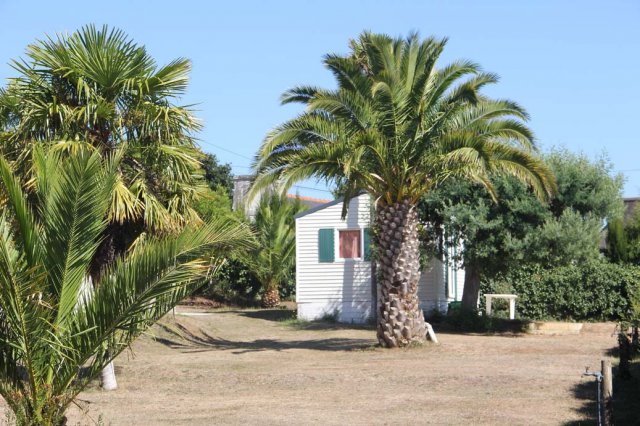 Nos locations